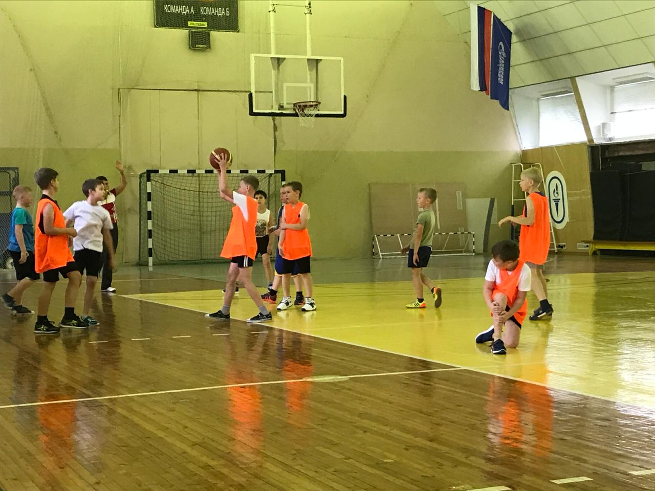 basket 6