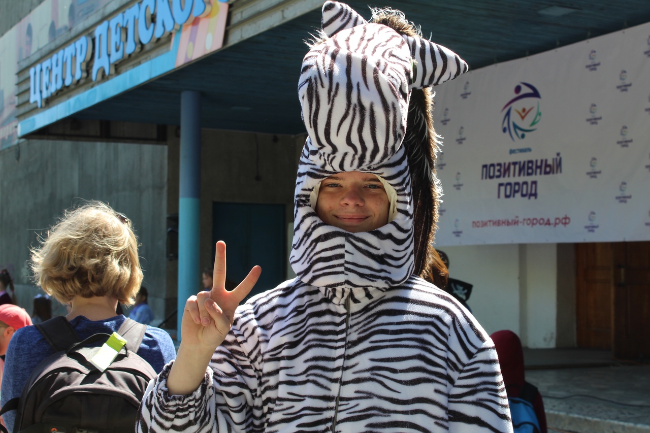 зебра пг