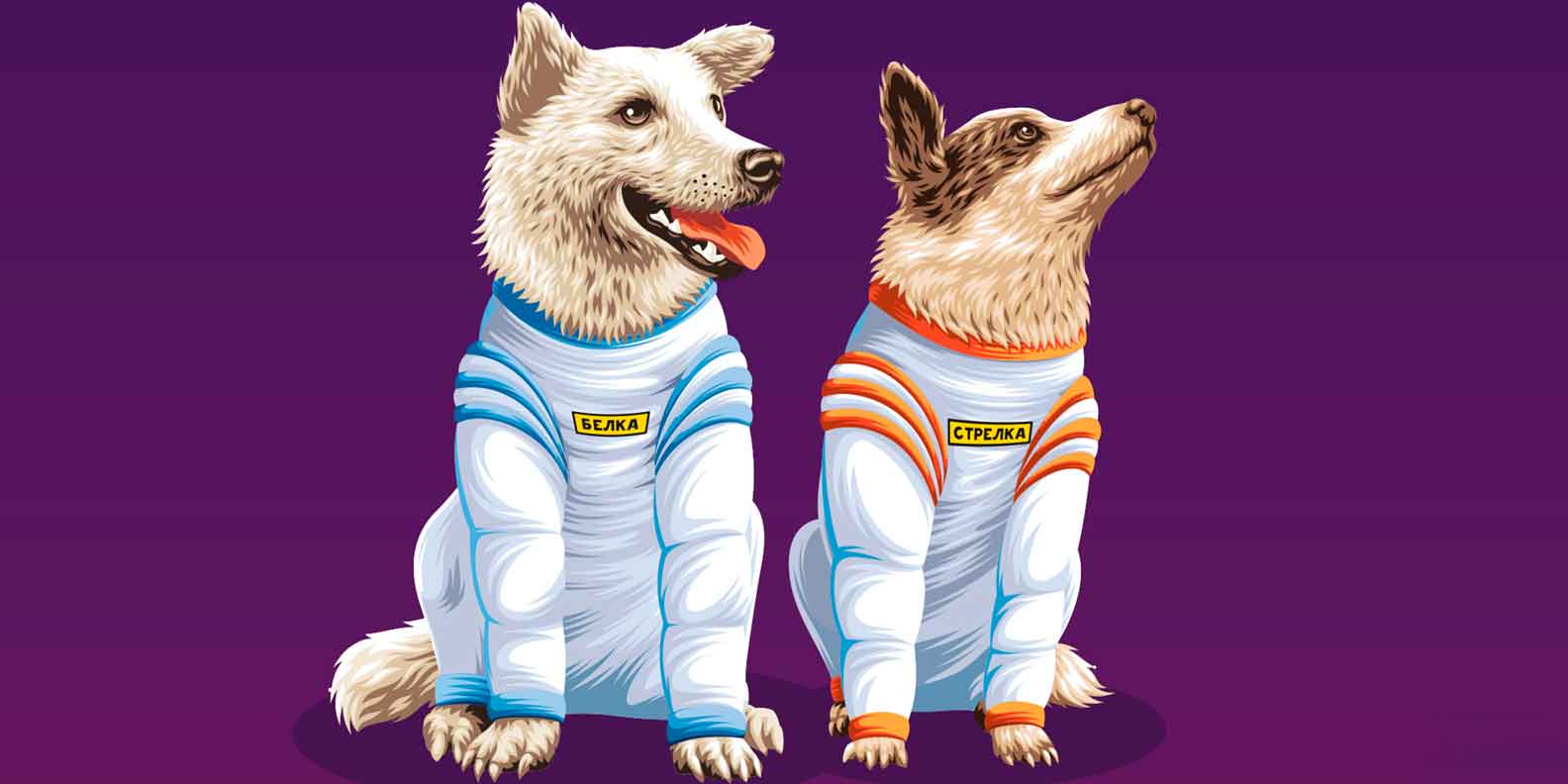 belka i strelka