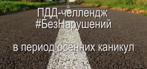 ПДД челлендж